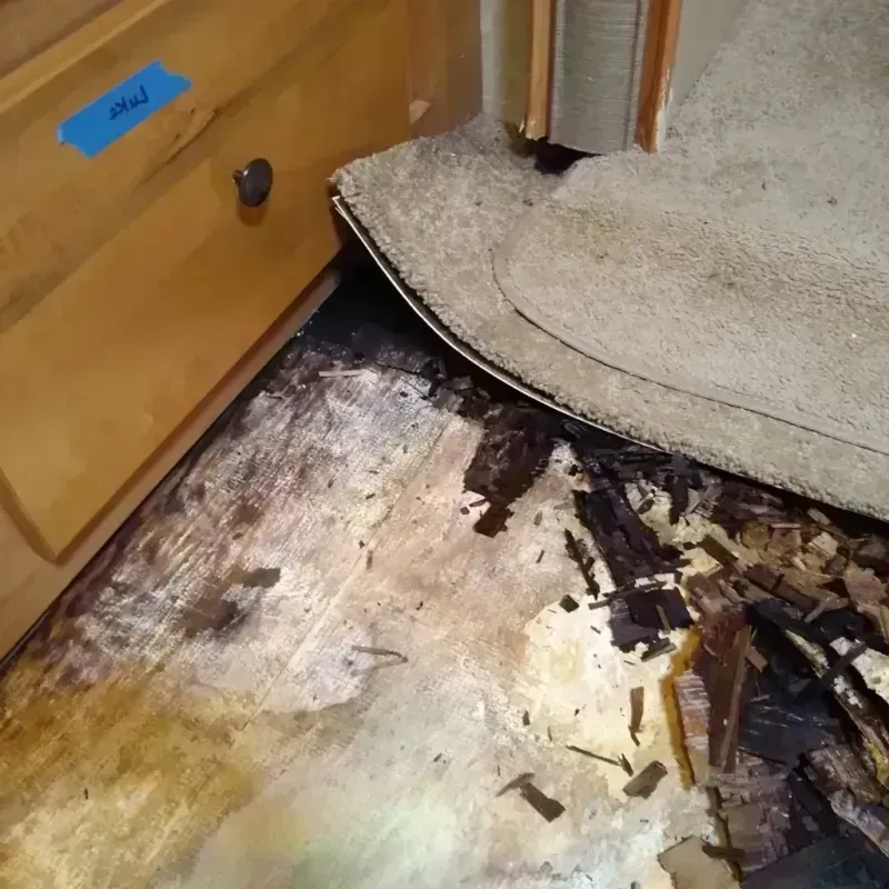 Best Wood Floor Water Damage Service in Marlton, MD